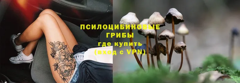 Галлюциногенные грибы Cubensis Аркадак